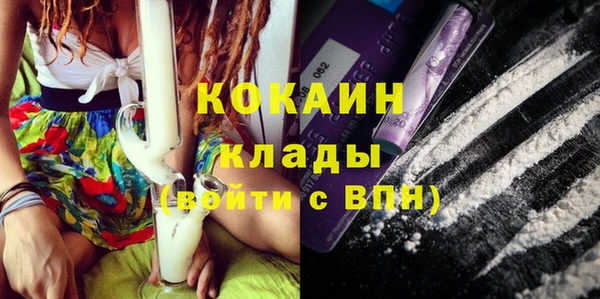дживик Навашино