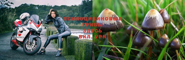 мескалин Абдулино