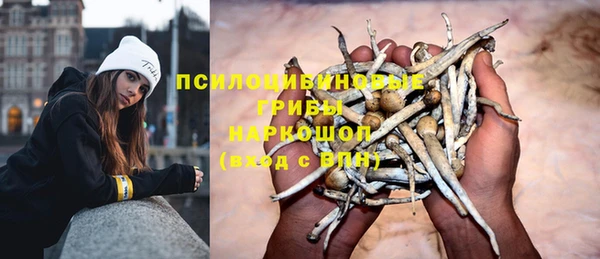 крисы Алексеевка